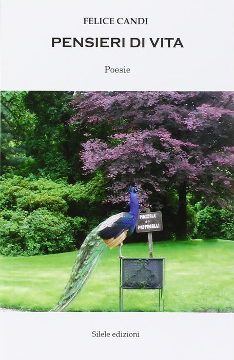 https://m.media-amazon.com/images/I/81jYOcrLznL.jpg