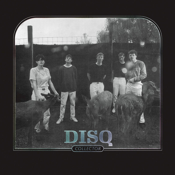 Disq - Collector;