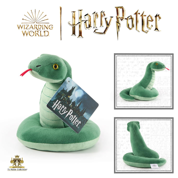 https://m.media-amazon.com/images/I/81jgAvyy9tL.jpg