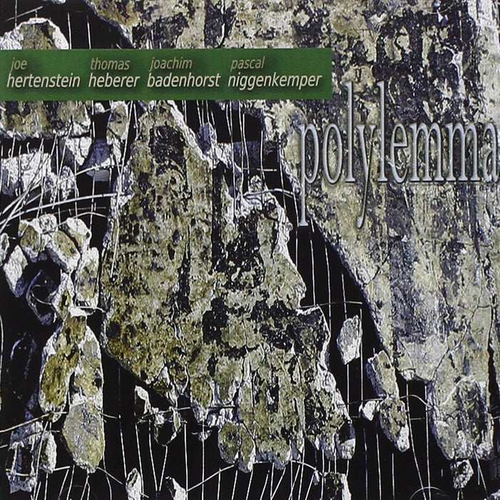 Joe Hertenstein / Thomas Heberer / Joachim Badenhorst / Pascal Niggenkemper - Polylemma;