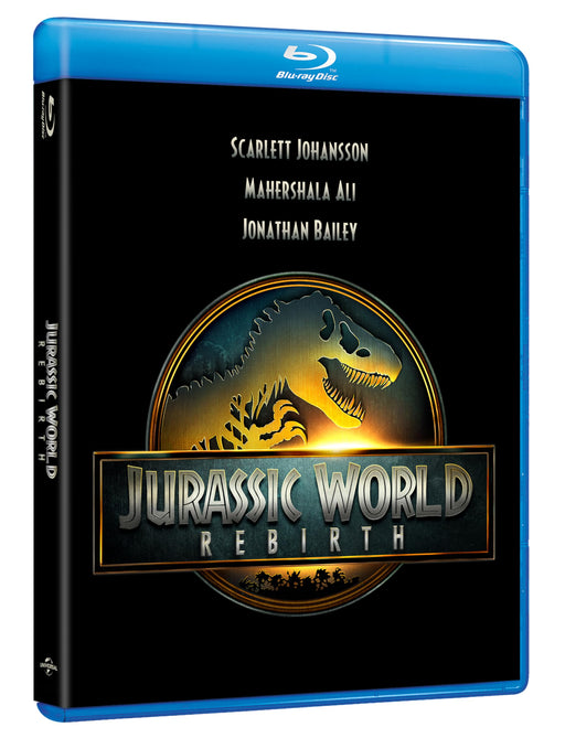 https://m.media-amazon.com/images/I/81kT+X4FbuL.jpg