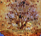 https://m.media-amazon.com/images/I/81kscd8rqlL.jpg