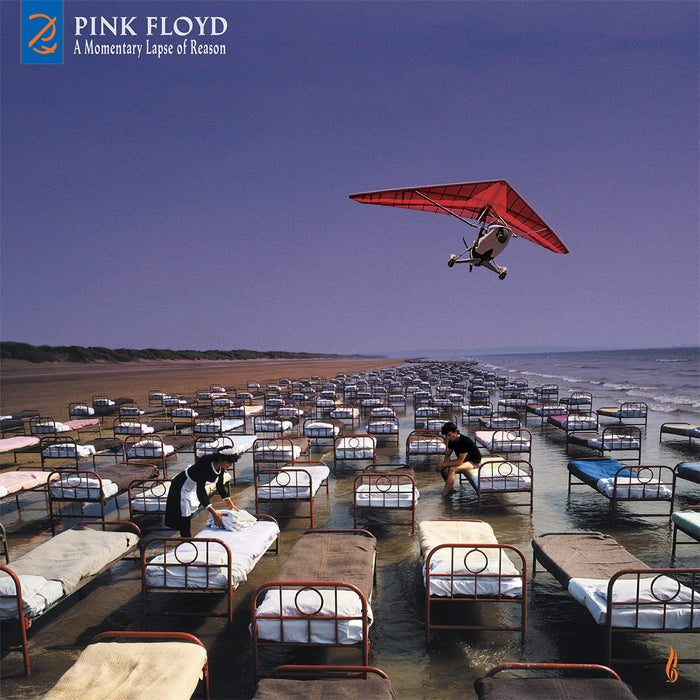 Pink Floyd - Momentary Lapse Of Reason (2 Cd);