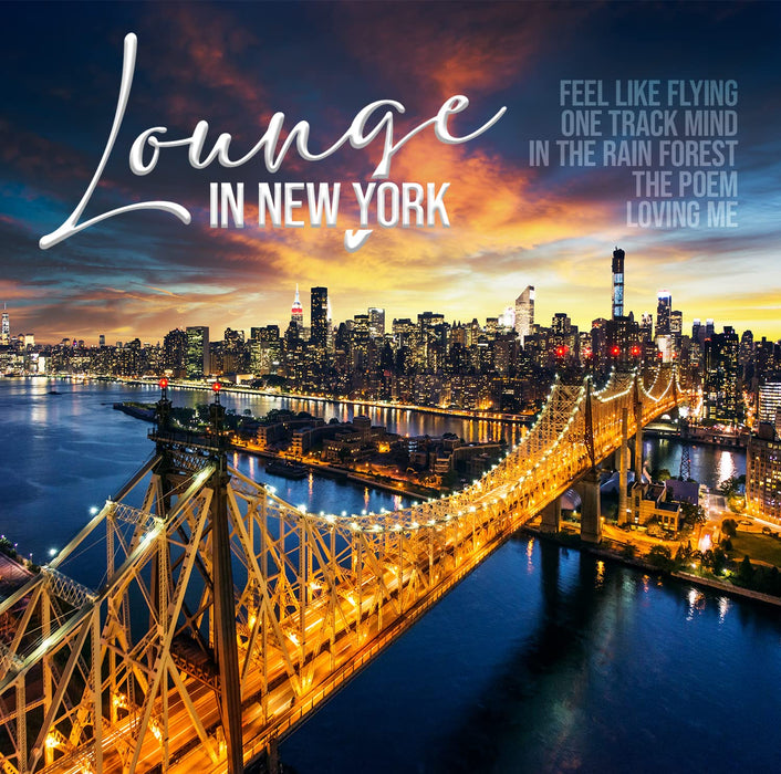 Lounge In New York / Various;