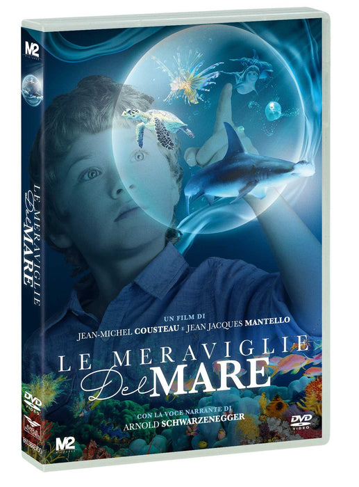 https://m.media-amazon.com/images/I/81lz-vQ-b3L.jpg