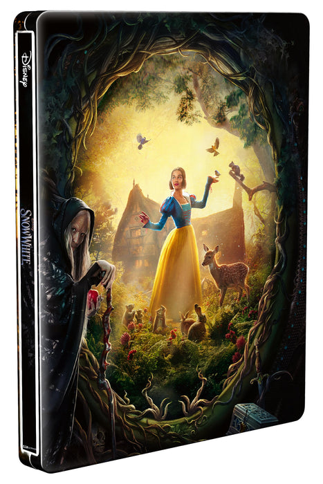 https://m.media-amazon.com/images/I/81mZ2JXFMuL.jpg