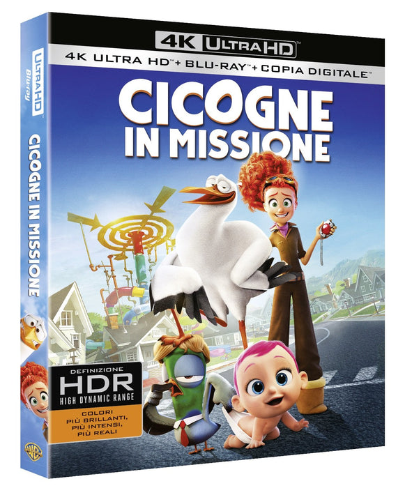 https://m.media-amazon.com/images/I/81n-lSg9IAL.jpg