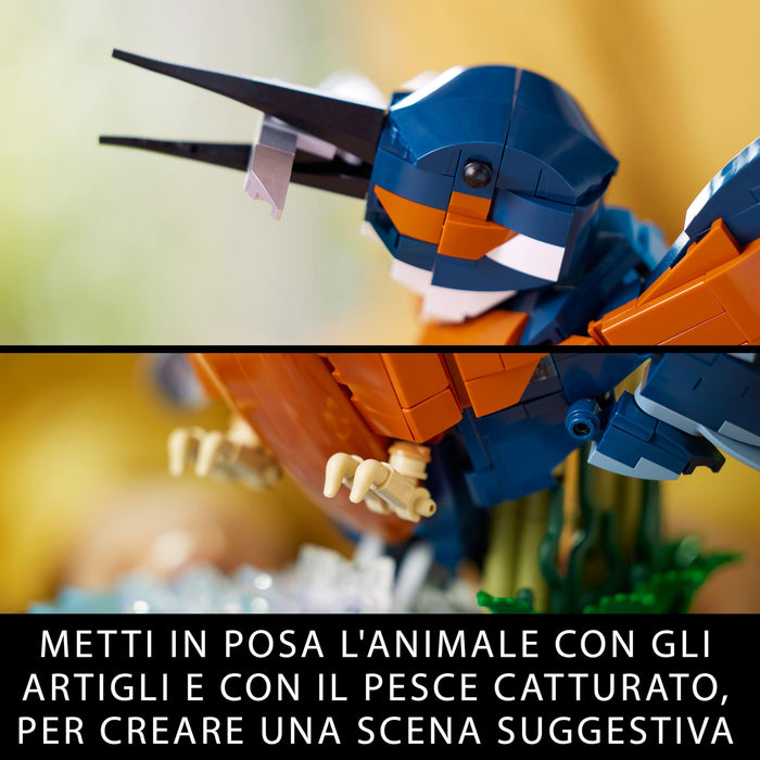 https://m.media-amazon.com/images/I/81n3dF4sJ9L.jpg