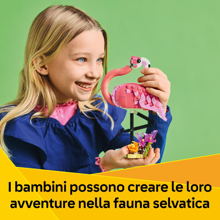 https://m.media-amazon.com/images/I/81nDN77EiNL.jpg