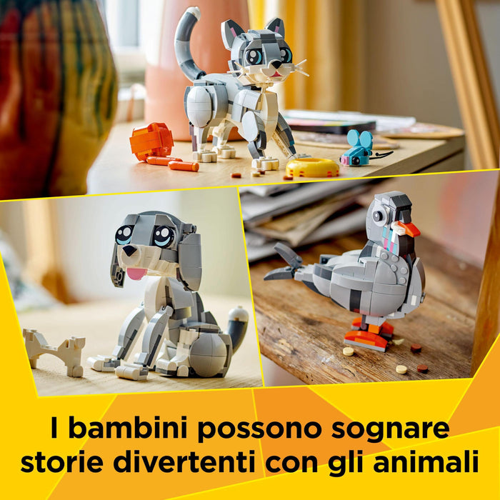 https://m.media-amazon.com/images/I/81nj1guOi4L.jpg