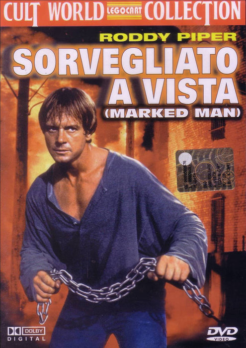 https://m.media-amazon.com/images/I/81oijFAKUnL.jpg