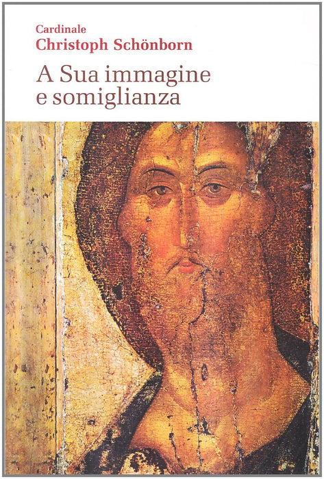 https://m.media-amazon.com/images/I/81pNPXfPlsL.jpg