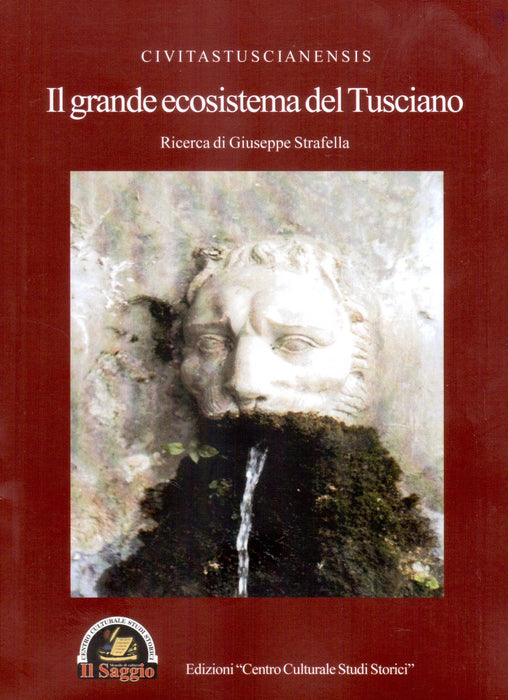 https://m.media-amazon.com/images/I/81pbOk96VgL.jpg