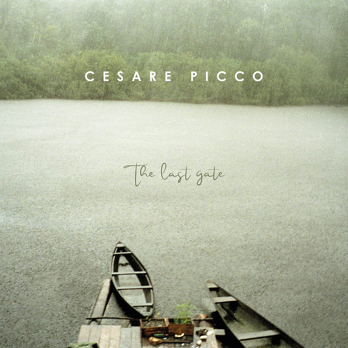 Cesare Picco - The Last Gate;