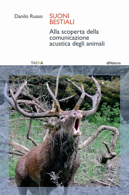 https://m.media-amazon.com/images/I/81qN-yW4+5L.jpg