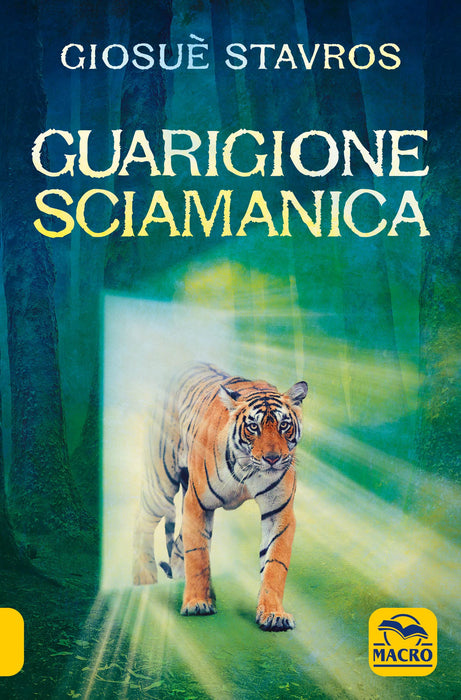 https://m.media-amazon.com/images/I/81qipHZ0oCL.jpg