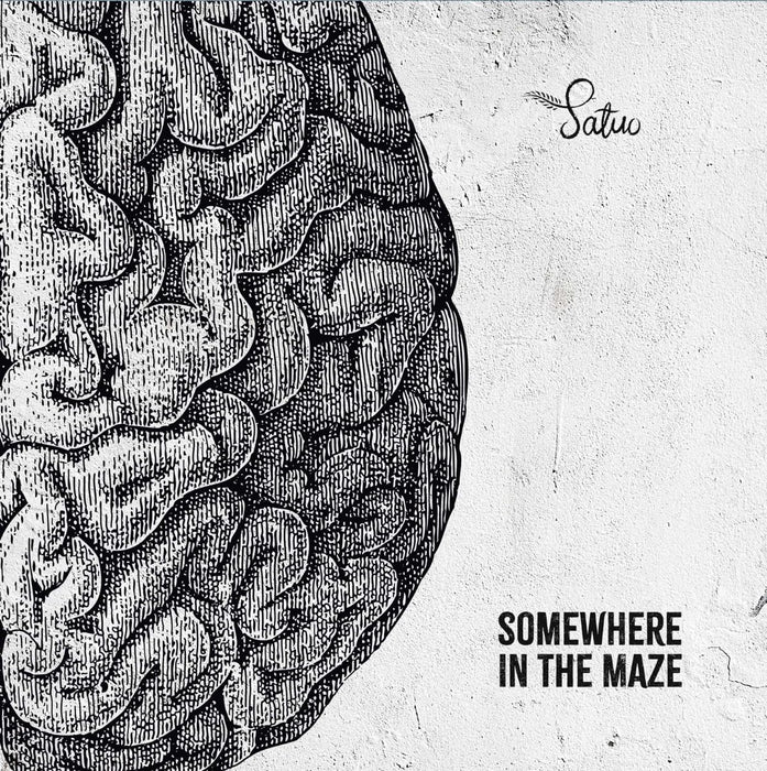 Satuo - Somewhere In The Maze;