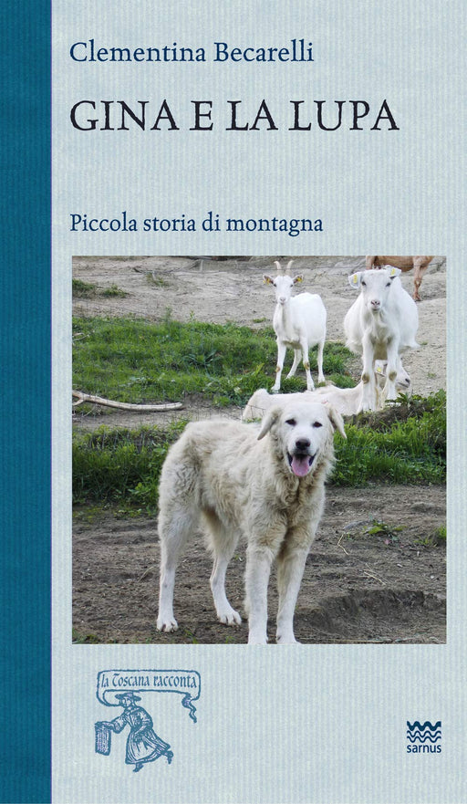 https://m.media-amazon.com/images/I/81rsOj4FUaL.jpg