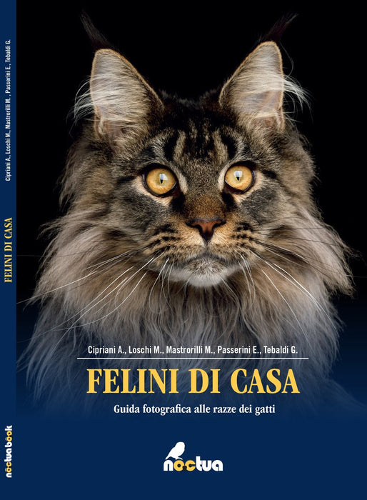 https://m.media-amazon.com/images/I/81tXlIHsKXL.jpg