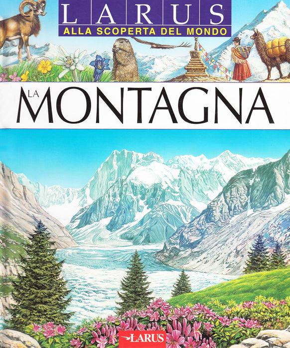 https://m.media-amazon.com/images/I/81ti3BXn9AL.jpg