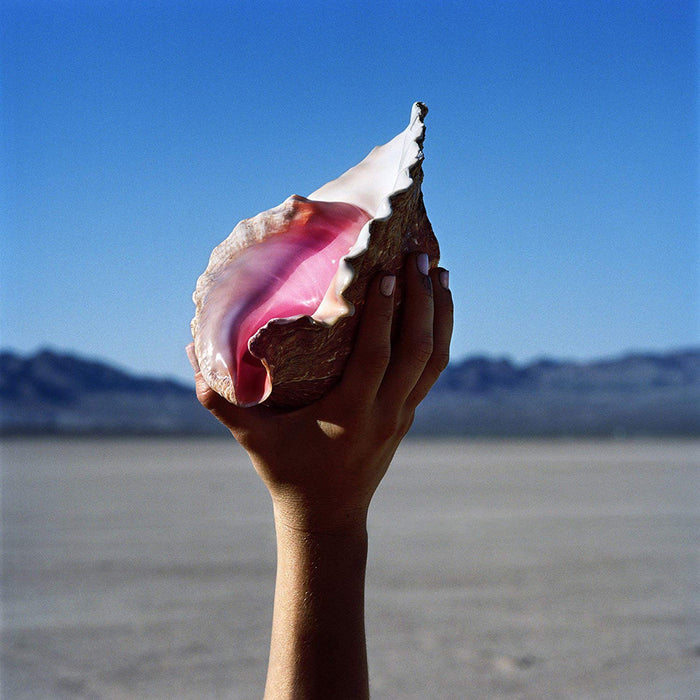 Killers (The) - Wonderful Wonderful;