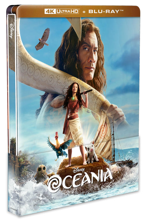 https://m.media-amazon.com/images/I/81vN5sUK2JL.jpg