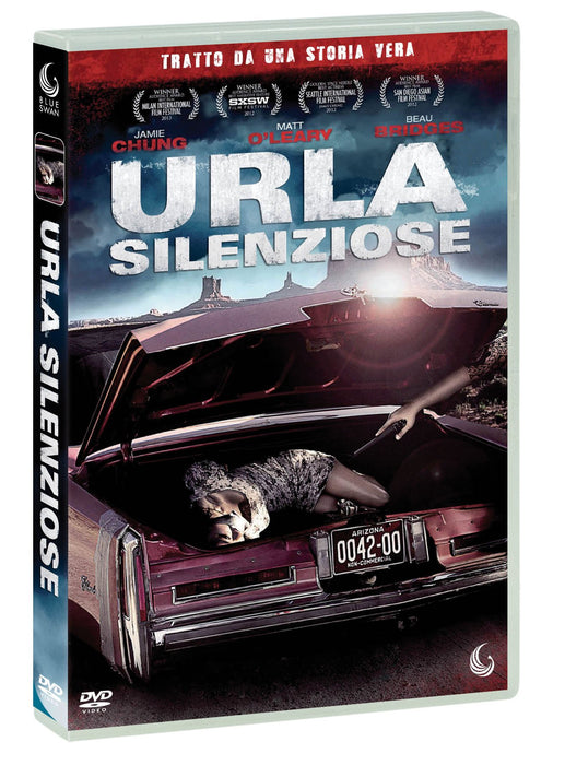 https://m.media-amazon.com/images/I/81vqpIpdarL.jpg
