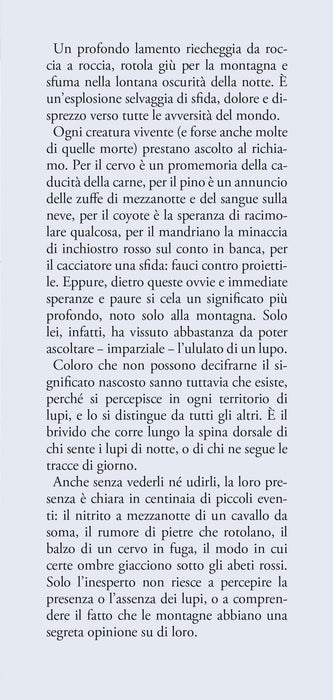 https://m.media-amazon.com/images/I/81vuAv9DEjL.jpg