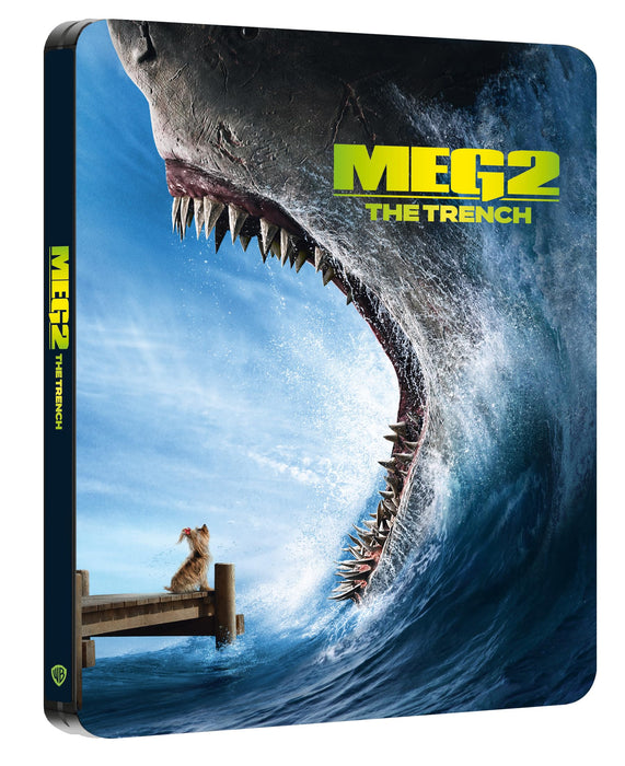 https://m.media-amazon.com/images/I/81wF9XAOTzL.jpg