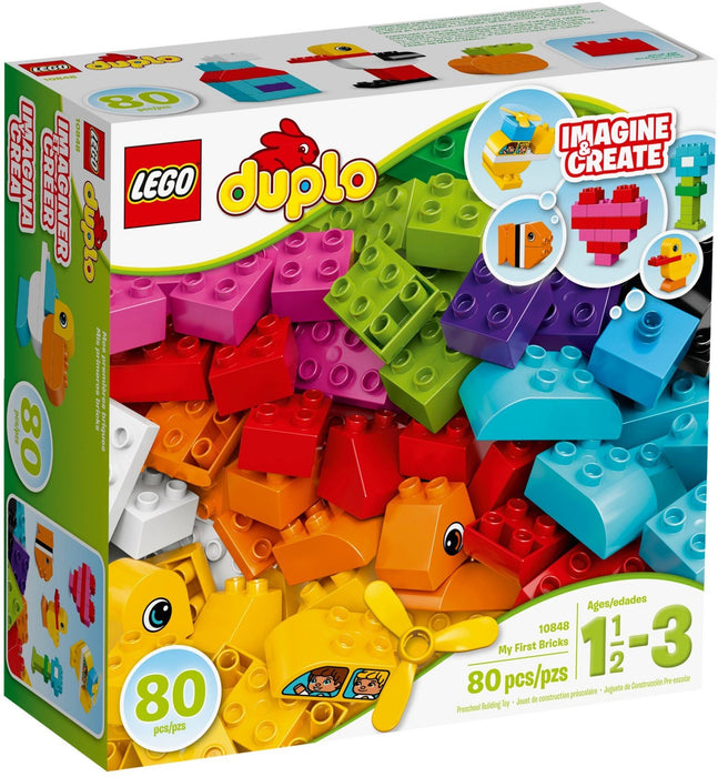 https://m.media-amazon.com/images/I/81wioQuq73L.jpg
