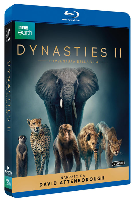 https://m.media-amazon.com/images/I/81y3ycs08uL.jpg