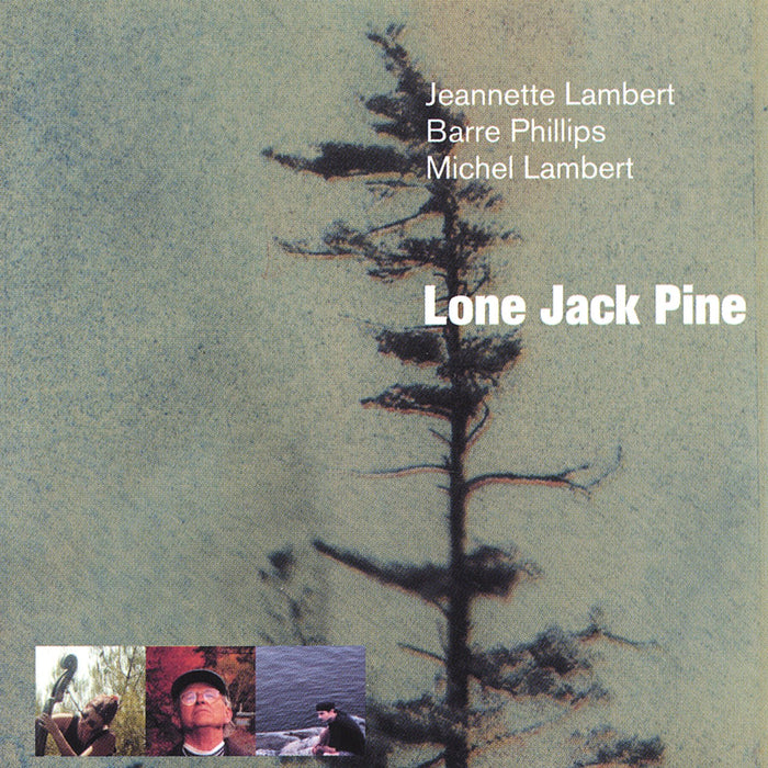 Jeannette Lambert - Lone Jack Pine;