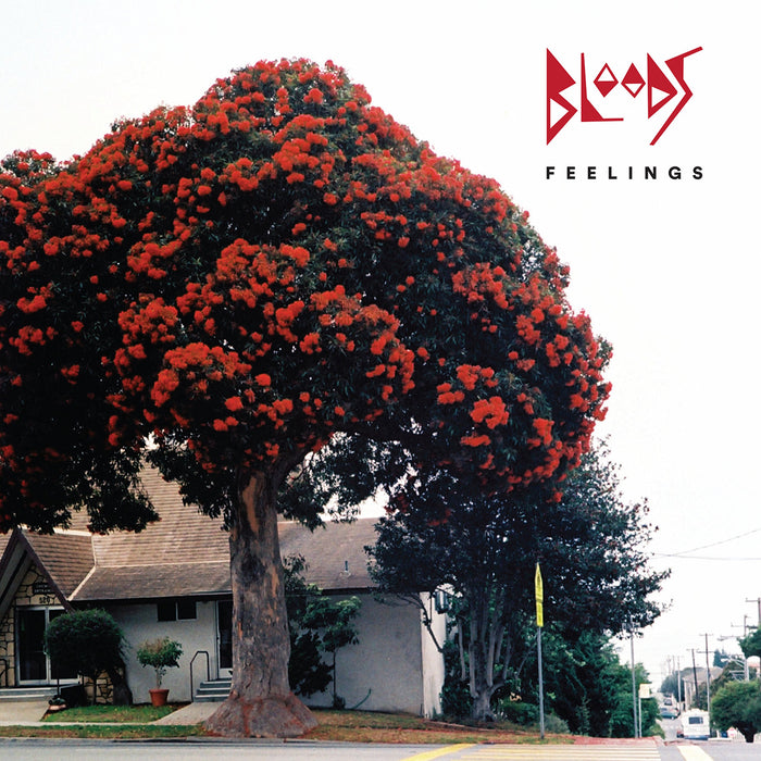 Bloods - Feelings;