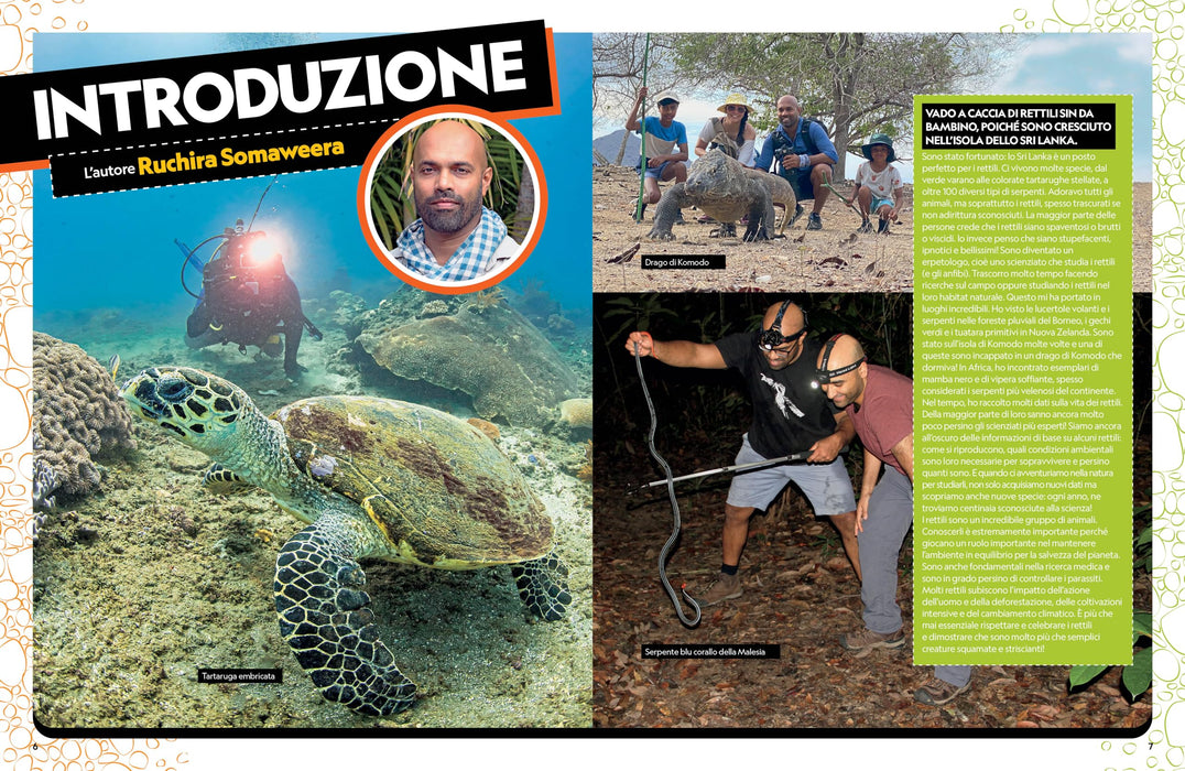 https://m.media-amazon.com/images/I/915fsJ4X-XL.jpg