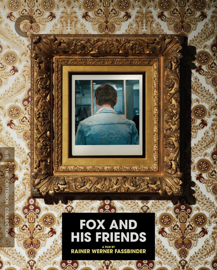 Fox & His Friends (Criterion Collection) [Edizione: Stati Uniti];