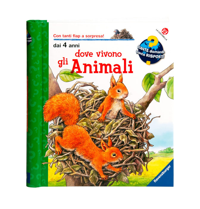 https://m.media-amazon.com/images/I/917VIum2IAS.jpg