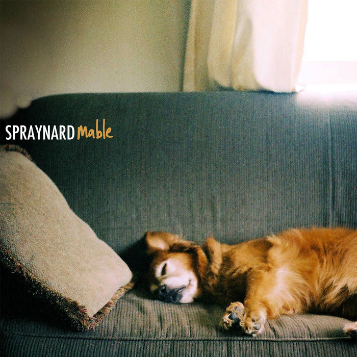 https://m.media-amazon.com/images/I/919CoVEOMLL.jpg