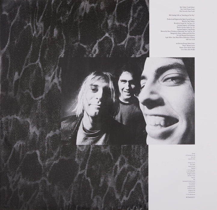 Nirvana - Nevermind;