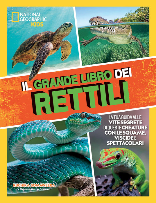https://m.media-amazon.com/images/I/91E9Ng4nihL.jpg