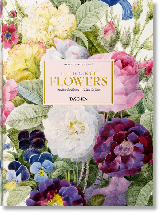 https://m.media-amazon.com/images/I/91FsrtOMyZL.jpg