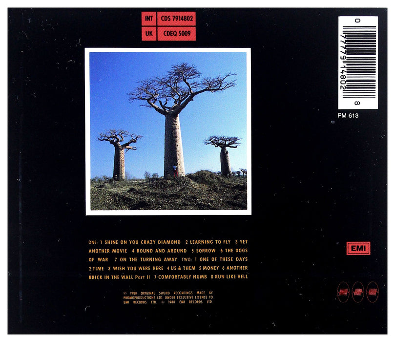 Pink Floyd - Delicate Sound Of Thunder Live (2 Cd);