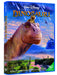https://m.media-amazon.com/images/I/91R6tzHBCKL.jpg