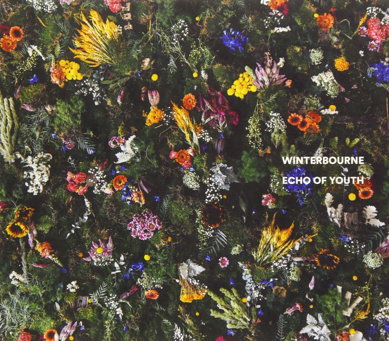 Winterbourne - Echo Of Youth;