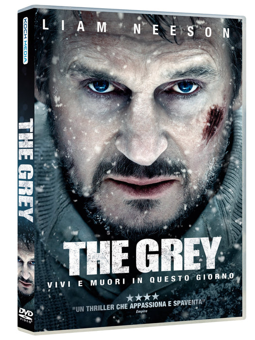 https://m.media-amazon.com/images/I/91Tc0+bF2xL.jpg
