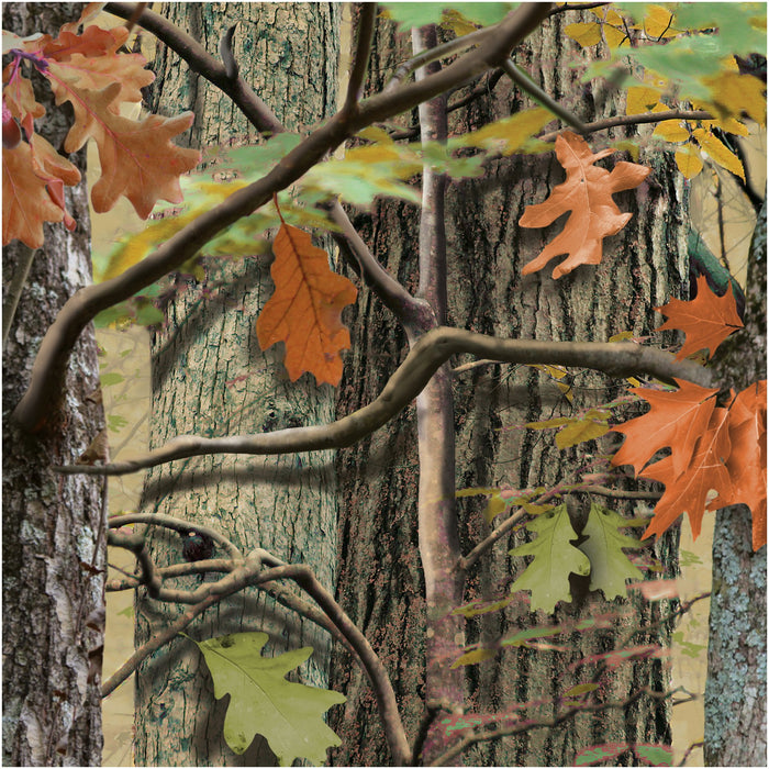 Creative Converting: Bn 12/18Ct 2P Hunting Camo;