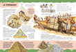 https://m.media-amazon.com/images/I/91+k1DAMT+L.jpg