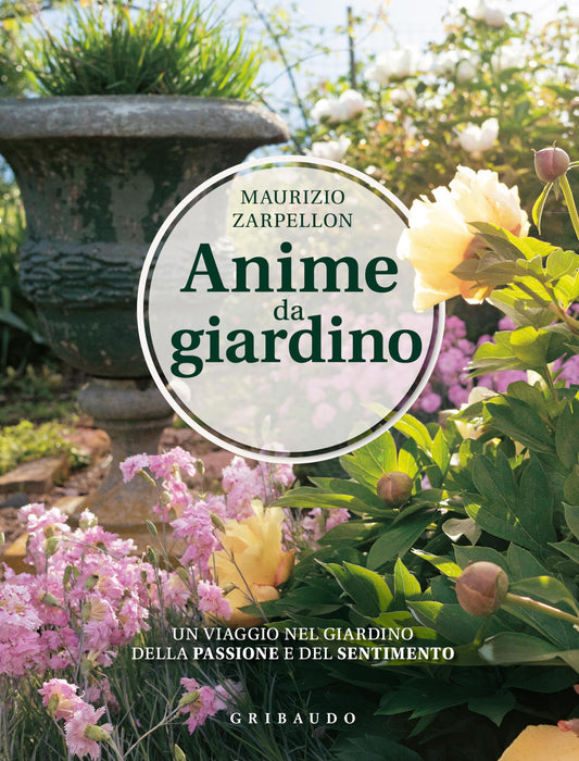 https://m.media-amazon.com/images/I/91ahhAkIugL.jpg