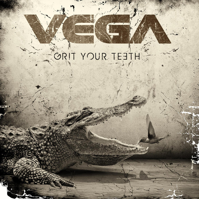 https://m.media-amazon.com/images/I/91cxGonxceL.jpg