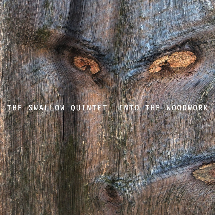 Steve Swallow - Into The Woodwork;