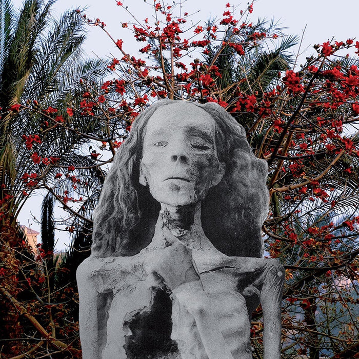 https://m.media-amazon.com/images/I/91hE-bXTPPL.jpg